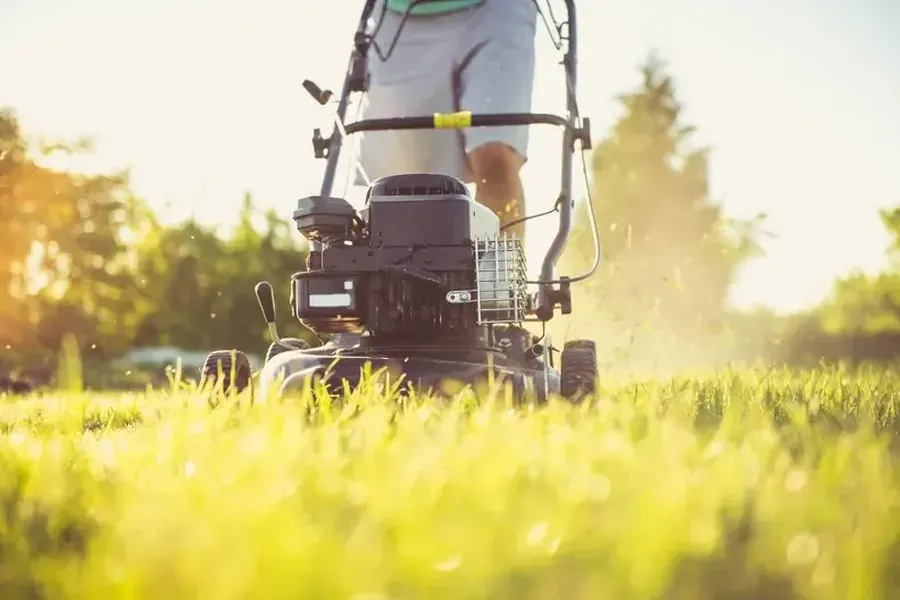 Affordable Grass Cutting Services West Palm Beach, FL Affordable Grass Cutting Services West Palm Beach, FL