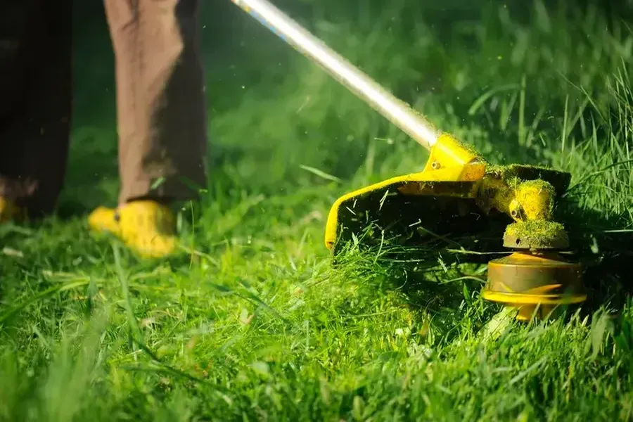 Choosing Grass Cutting Services For Long-term Lawn Care West Palm Beach, FL Choosing Grass Cutting Services For Long-term Lawn Care West Palm Beach, FL