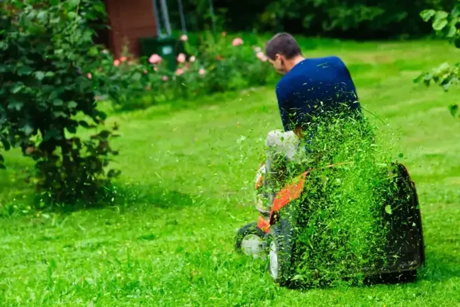 Choosing Grass Cutting Services For Long-term Lawn Care in West Palm Beach, FL Choosing Grass Cutting Services For Long-term Lawn Care in West Palm Beach, FL