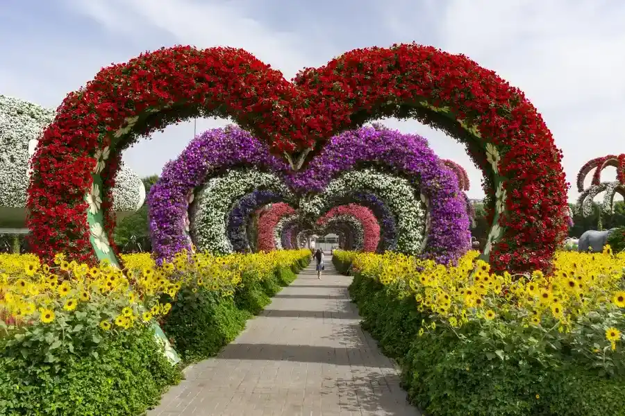 Excellent Landscape Installation West Palm Beach, FL Excellent Landscape Installation West Palm Beach, FL
