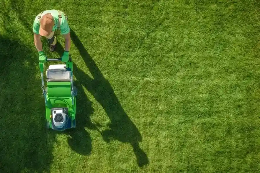 Local Grass Cutting Services West Palm Beach, FL Local Grass Cutting Services West Palm Beach, FL