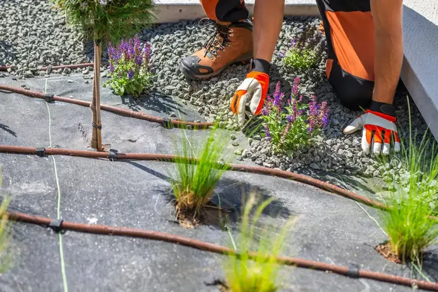 Premium Landscape Installation West Palm Beach, FL Premium Landscape Installation West Palm Beach, FL