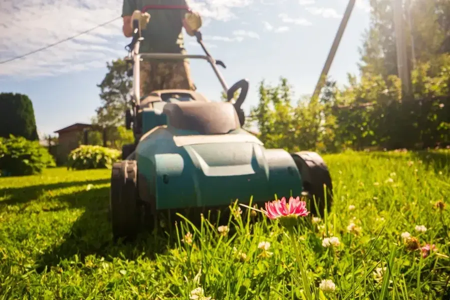 Professional Grass Cutting Services West Palm Beach, FL Professional Grass Cutting Services West Palm Beach, FL