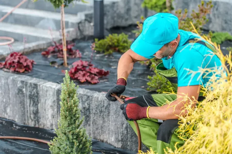 Quality Landscape Installation West Palm Beach, FL Quality Landscape Installation West Palm Beach, FL