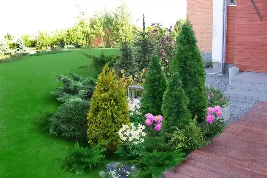 Reputable Backyard Landscaping West Palm Beach, FL Reputable Backyard Landscaping West Palm Beach, FL
