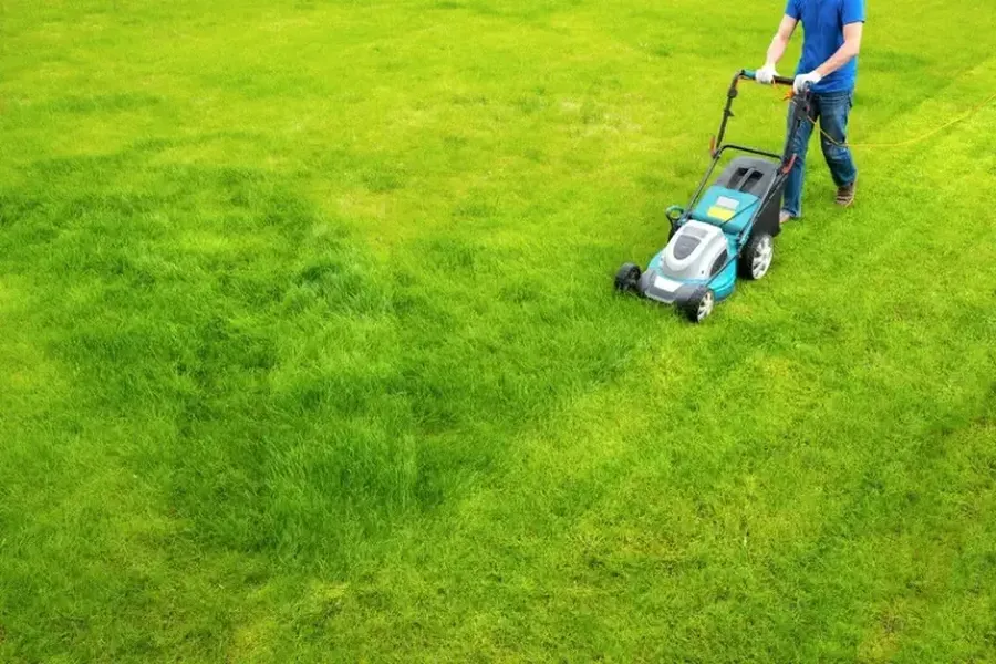 Understanding The Role Of A Landscaper In Lawn Care in West Palm Beach, FL Understanding The Role Of A Landscaper In Lawn Care in West Palm Beach, FL